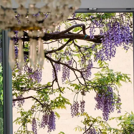 Altido Beautiful 3br For 6, Near Lake Como * Brunate